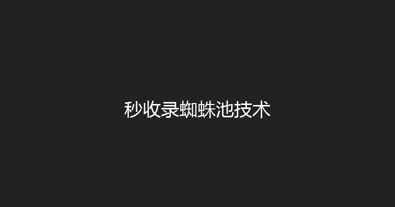 秒收录蜘蛛池技术 封面图