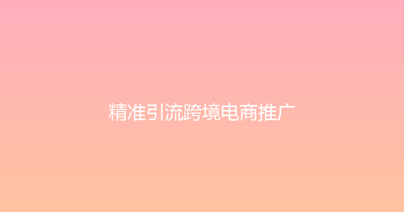 精准引流跨境电商推广 封面图